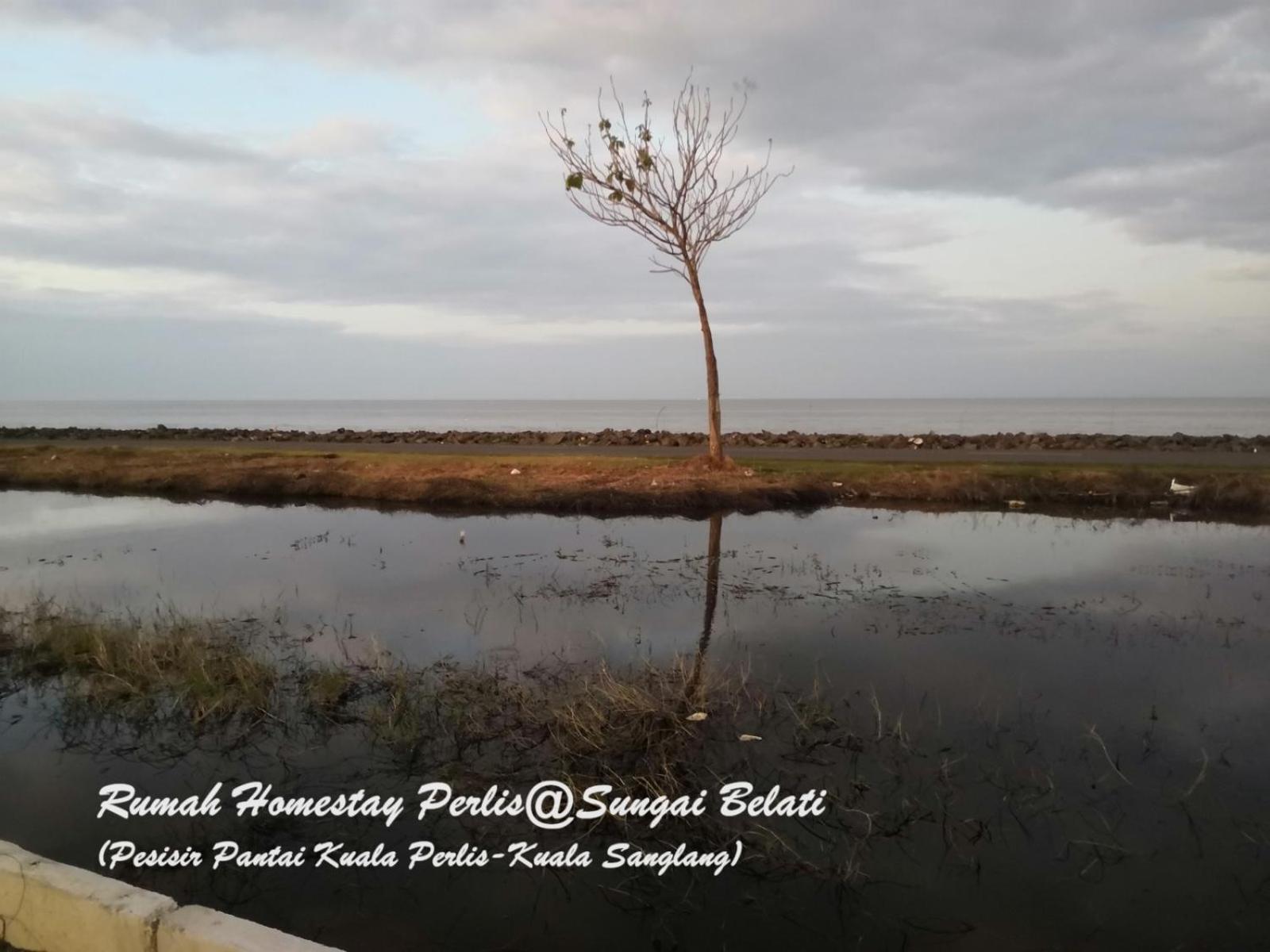Villa Rhumah Sungai Belati Simpang Empat  Exterior foto
