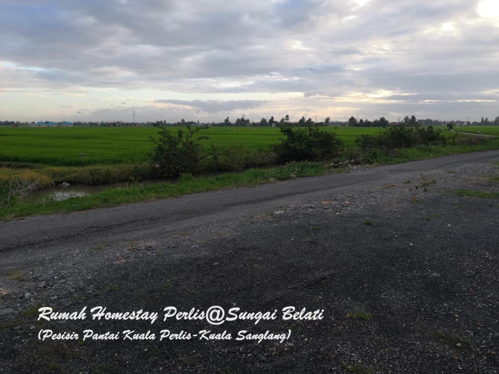 Villa Rhumah Sungai Belati Simpang Empat  Exterior foto